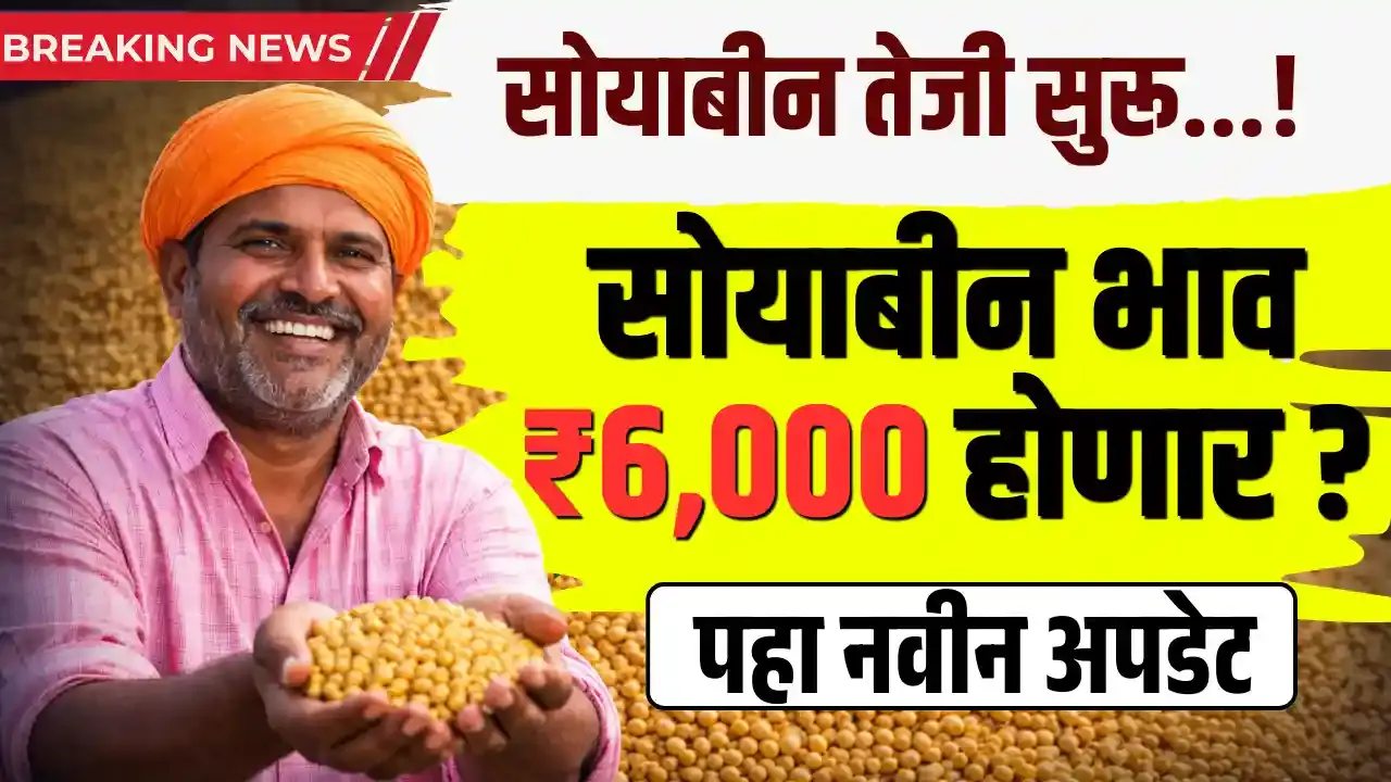 soyabean-market-price-march-end-2026-maharashtra